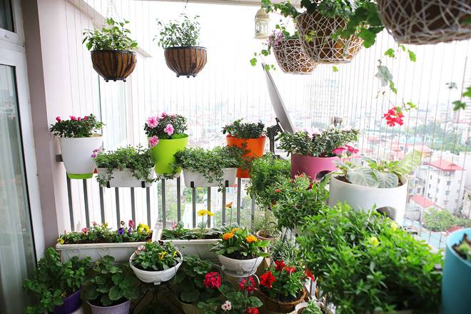 Mách bạn 3 cách độc đáo thiết kế không gian sân vườn nhỏ hẹp