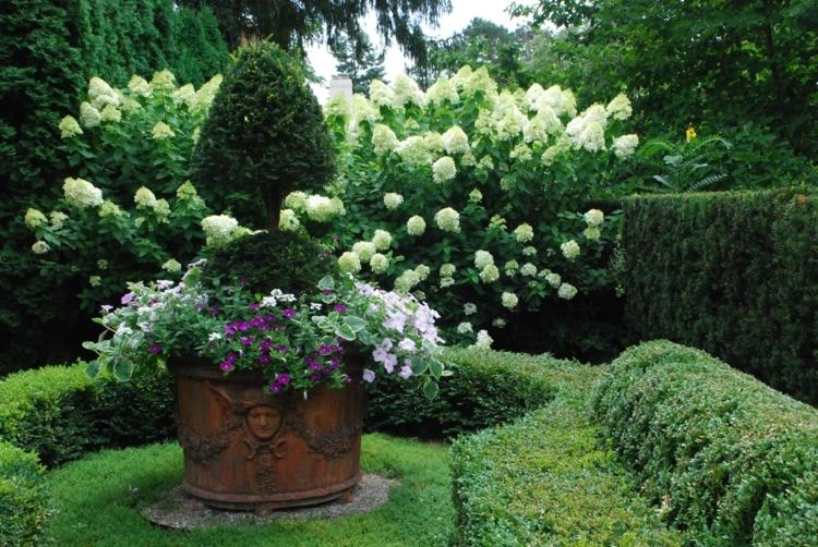 Thiết kế hàng rào cây xanh cho khu vườn mang đặc trưng phong cách Pháp