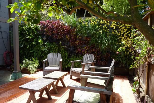 3 ý tưởng thiết kế vườn siêu ấn tượng cho khoảng sân hẹp