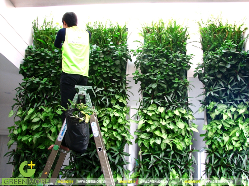 Mách bạn 3 cách độc đáo thiết kế không gian sân vườn nhỏ hẹp