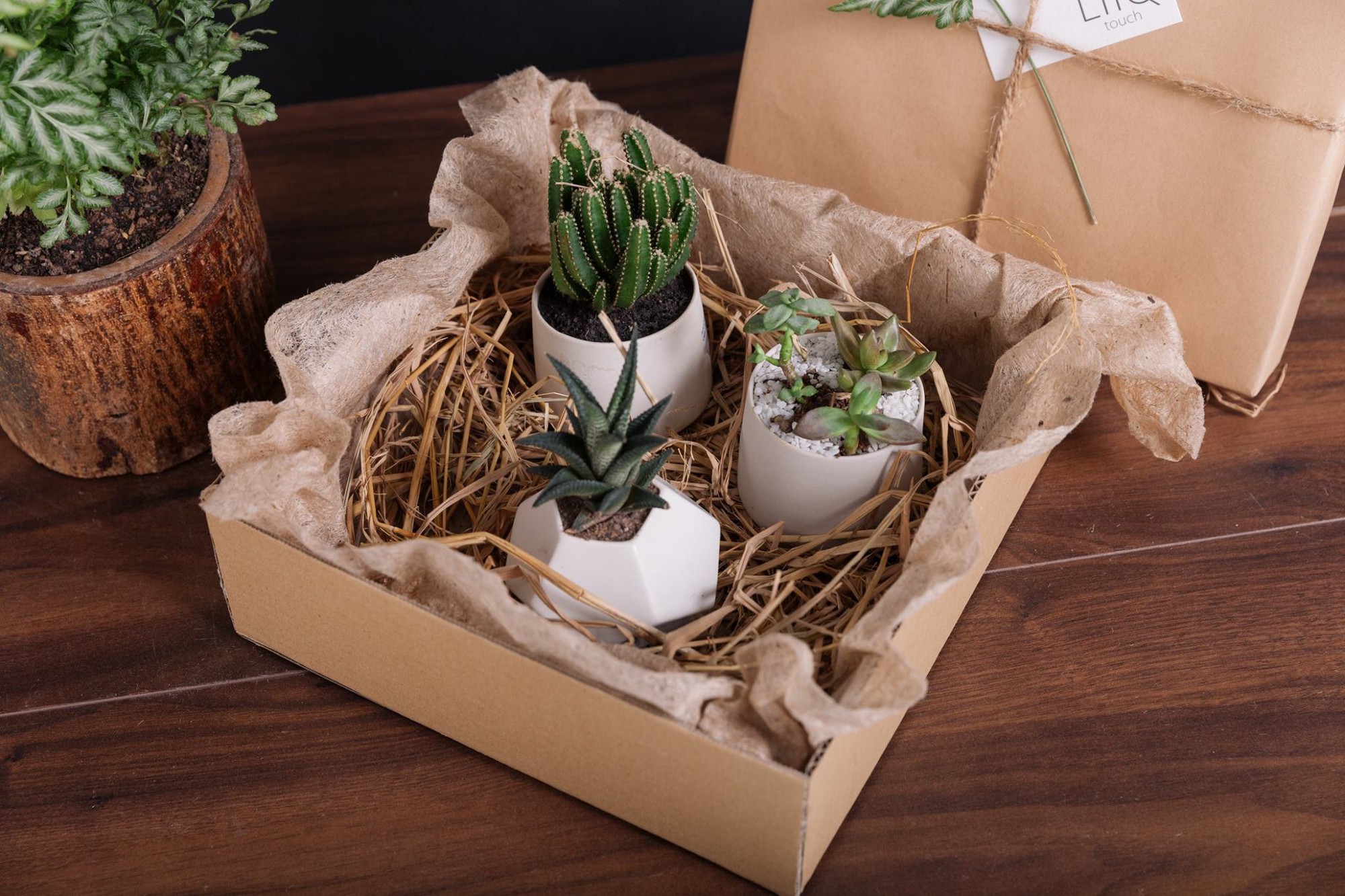 LIIQ Touch – trang trí nội thất văn phòng